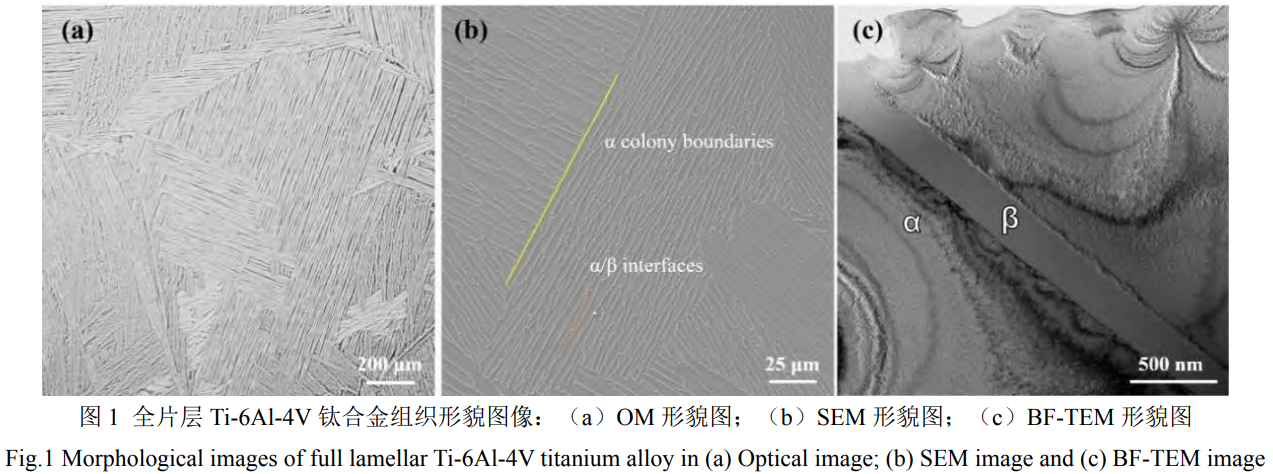 1747038903160508.png 截圖20250512162548.png
