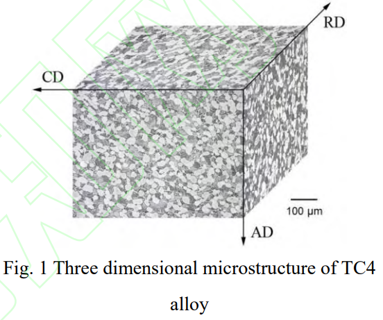 1747042989530151.png 1.png