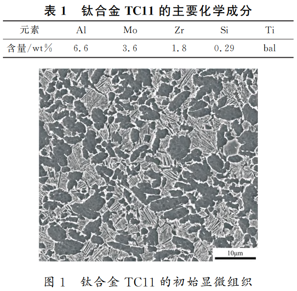 1747053161885077.png b1-t1.png