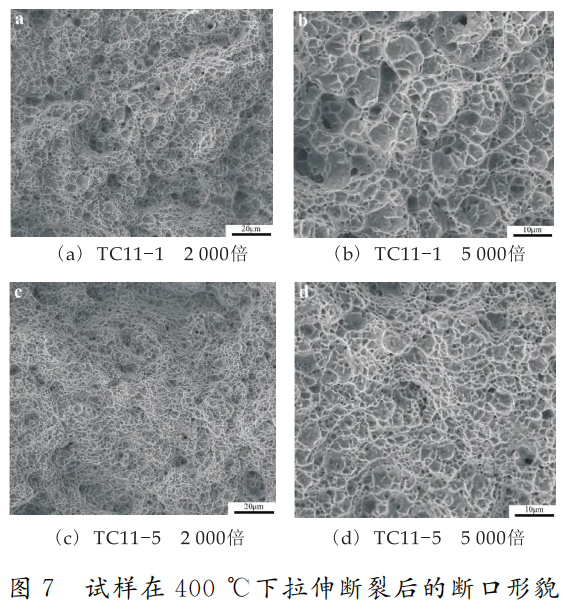 1747053332977079.jpg 7.jpg