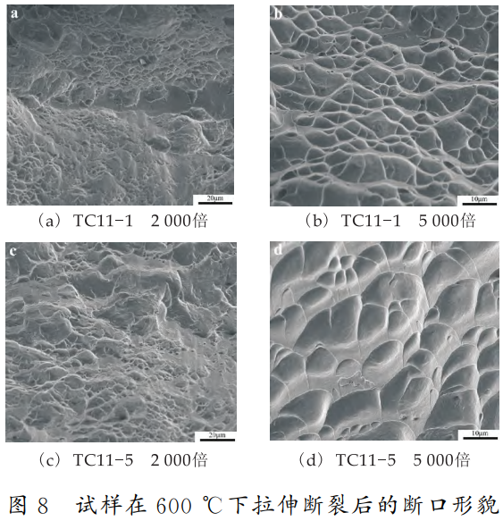 1747053340119809.png 8.png