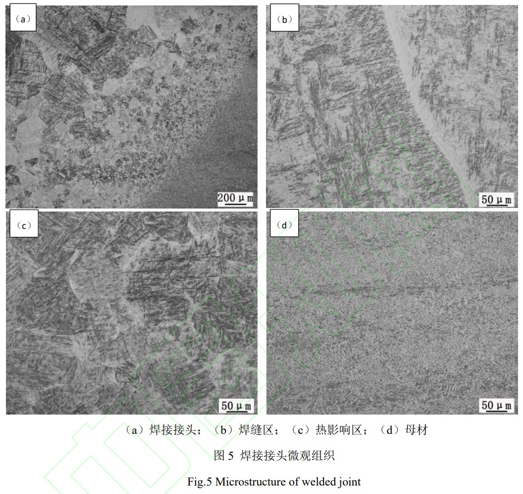 1747104157991796.jpg 5.jpg