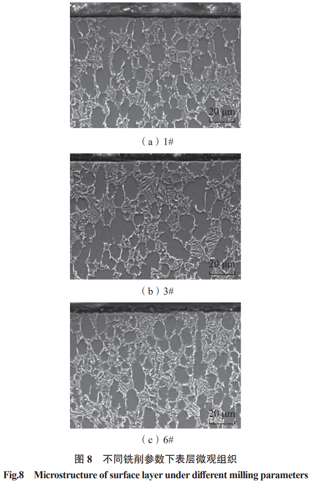 1747215497750474.jpg 8.jpg