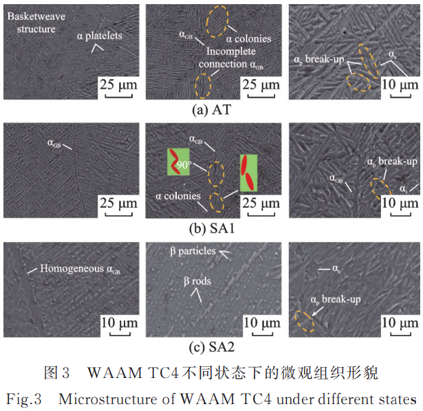 1753272492290894.png 截圖20250723200802.png