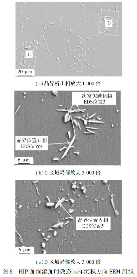 1759413276113393.jpg 未標題-6.jpg