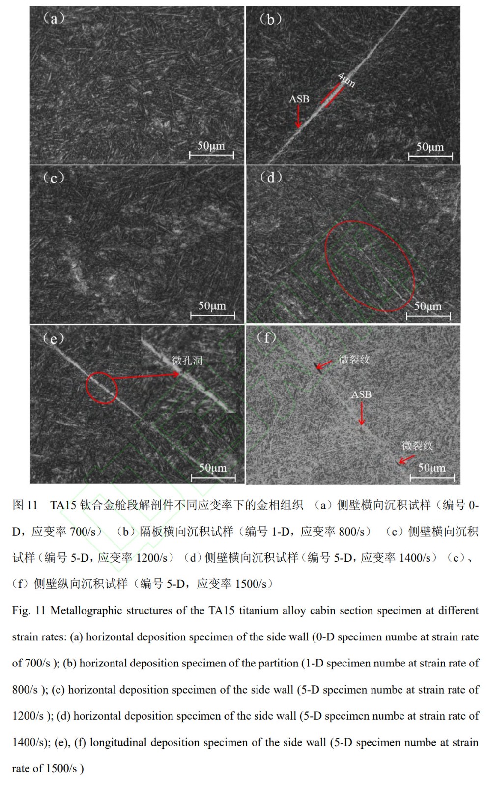 1759674690177635.jpg 未標題-3.jpg