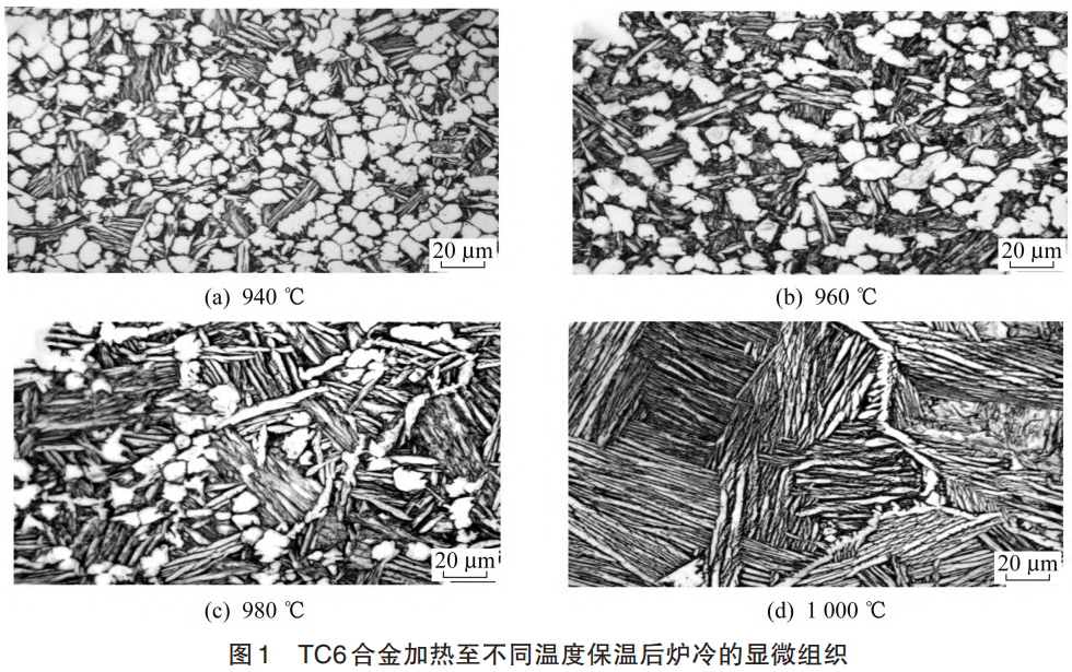 1759754875166791.png 截圖20251006204701.png