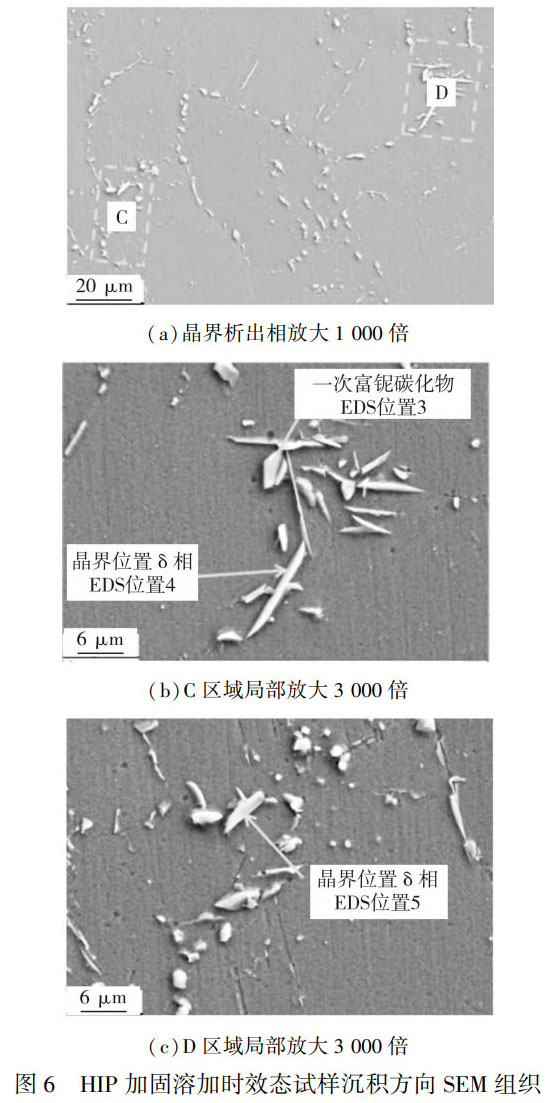 1759975199474124.jpg 未標題-6.jpg