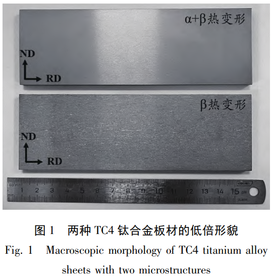 1759977006389437.png 截圖20251009102307.png