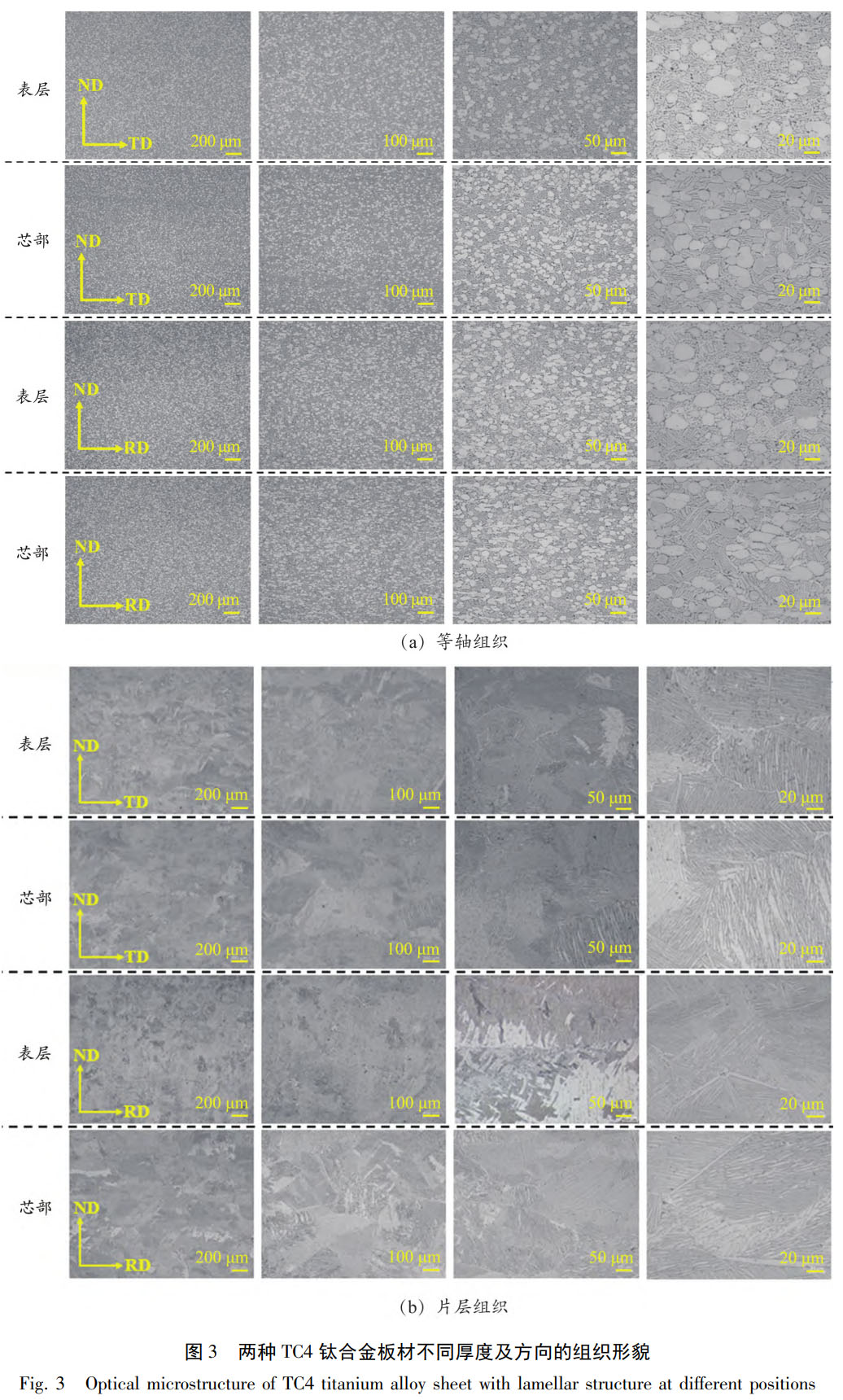 1759977031685065.jpg 未標(biāo)題-2.jpg