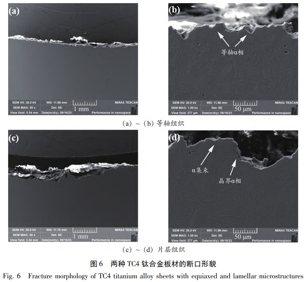 1759977071368309.jpg 未標(biāo)題-4.jpg